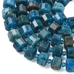 Natural Apatite Beads Strands&nbsp;G-G453-G08-7x12mm