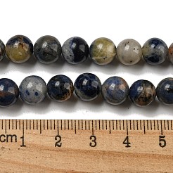 Natural Sodalite Beads Strands&nbsp;G-F591-13