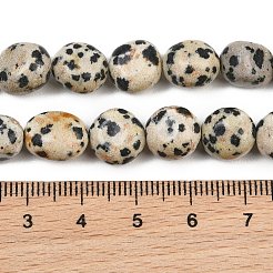 Natural Dalmatian Jasper Beads Strands&nbsp;GG-CBA787B-A11