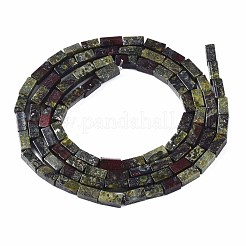 Natural Dragon Blood Jasper Beads Strands&nbsp;G-S299-135