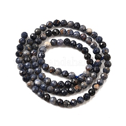 Natural Sapphire Beads Strands&nbsp;G-G259-D06-4mm