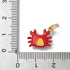 Alloy Enamel Pendants&nbsp;KK-H523-05A-G