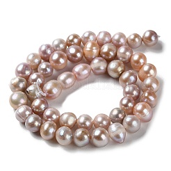 Natural Cultured Freshwater Pearl Beads Strands&nbsp;PEAR-E018-20