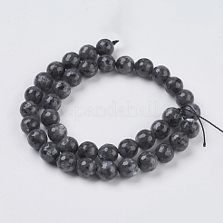 Natural Larvikite Beads Strands&nbsp;X-G-G542-10mm-27