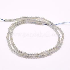 Natural Labradorite Beads Strands&nbsp;G-F509-03-4mm