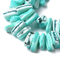 Dyed Natural Trochus Shell Beads Strands&nbsp;SSHEL-C013-09M