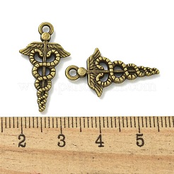 Tibetan Style Alloy Pendants&nbsp;TIBE-I026-6007AB