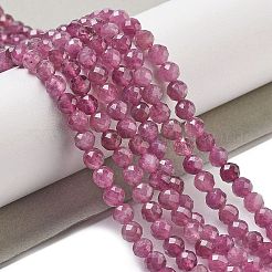 Natural Red Tourmaline Beads Strands&nbsp;G-B109-A01-01