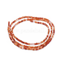 Natural Carnelian Beads Strands&nbsp;G-A177-04-19