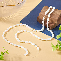 2 Strands Natural Trochus Shell Beads Strands&nbsp;SHEL-TA0001-20