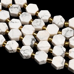 Natural Howlite Beads Strands&nbsp;G-F833-B13-01