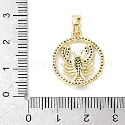 Brass Micro Pave Colorful Cubic Zirconia Pendants&nbsp;KK-K368-40G
