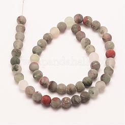 Natural African Bloodstone Beads Strands&nbsp;G-P295-05-6mm