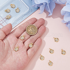 12Pcs Brass Micro Pave Clear Cubic Zirconia Charms&nbsp;ZIRC-HS0001-15