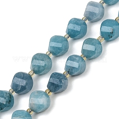 Dyed Natural Jade Beads Strands&nbsp;G-U023-A20-01F