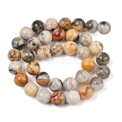 Natural Crazy Lace Agate Beads Strands&nbsp;G-S259-38-10mm