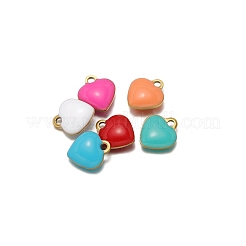 Stainless Steel Charms&nbsp;PW-WG0E535-M
