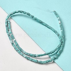 Synthetic Turquoise Beads Strands&nbsp;G-B064-A45