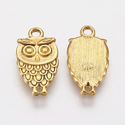 Tibetan Style Zinc Alloy Pendants for Halloween&nbsp;PALLOY-A14924-AG-LF