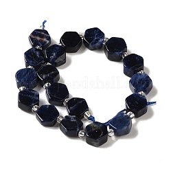 Natural Sodalite Beads Strands&nbsp;G-P534-A11-01