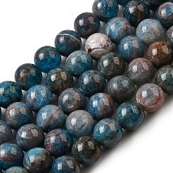 Natural Apatite Beads Strands&nbsp;G-D340-A02-10mm