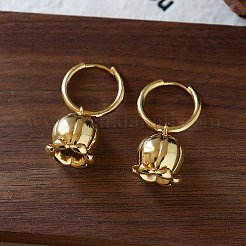 Brass Hoop Earrings for Women&nbsp;WG021FE-01