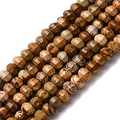 Natural Picture Jasper Beads Strands&nbsp;G-P587-D12-02
