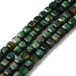 Natural Tiger Eye Beads Strands&nbsp;G-F797-A16-01B