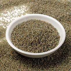 MIYUKI Round Rocailles Beads&nbsp;SEED-JP0010-RR0351