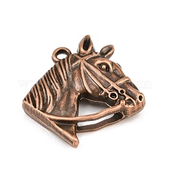 Tibetan Style Alloy Pendants&nbsp;AL-CBA2376-31R