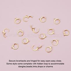 304 Stainless Steel Leverback Earring Findings&nbsp;STAS-G081-62G