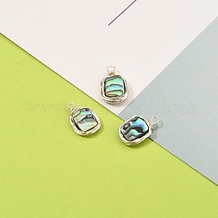 Natural Abalone Shell/Paua Shell Pendants&nbsp;PALLOY-JF00477-04