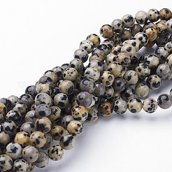 Natural Dalmatian Jasper Bead Strands&nbsp;G-R345-6mm-51