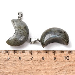 Natural Labradorite Pendants&nbsp;G-F820-02C-01