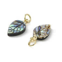 Natural Paua Shell/Abalone Shell Carved Pendants&nbsp;PALLOY-JF05615-01