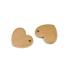 304 Stainless Steel Charms&nbsp;STAS-G357-17G