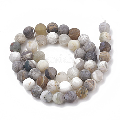 Natural Bamboo Leaf Agate Beads Strands&nbsp;G-T106-027