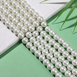 Eco-Friendly Glass Pearl Beads Strands&nbsp;HY-A008-12mm-RB001