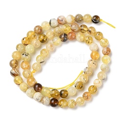 Natural Yellow Opal Beads Strands&nbsp;G-Q1001-A02-01