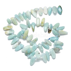 Natural Flower Amazonite Beads Strands&nbsp;G-G106-J02-01