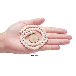 Natural Cultured Freshwater Pearl Beads Strands&nbsp;PEAR-R063-16