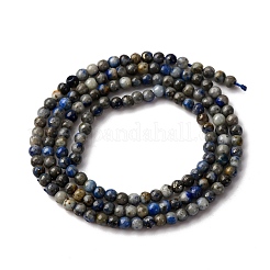 Natural Lapis Lazuli Beads Strands&nbsp;G-L629-A01-3mm
