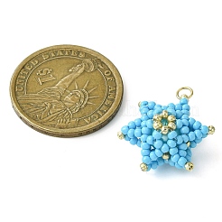Seed Beads Beaded Charms&nbsp;PALLOY-MZ00286-05