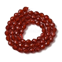 Dyed & Heated Natural Carnelian Beads Strands&nbsp;G-K376-F24-01
