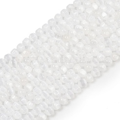 Natural Selenite Beads Strands&nbsp;G-F805-01