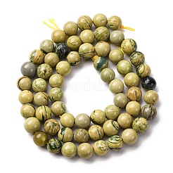 Natural Verdite Stone Beads Strands&nbsp;G-C242-03-6mm