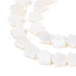 Natural Freshwater Shell Beads Strands&nbsp;SHEL-N027-02-01
