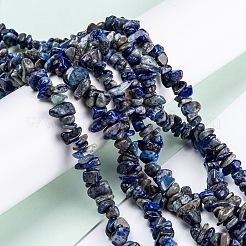 Natural Lapis Lazuli Beads Strands&nbsp;LS-G-F703-05B