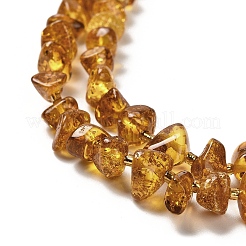 Natural Amber Beads Strands&nbsp;G-L095-K01-02