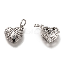 Brass Micro Pave Clear Cubic Zirconia Charms&nbsp;ZIRC-B002-62